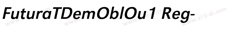FuturaTDemOblOu1 Reg字体转换